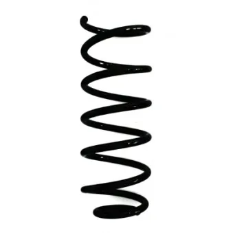 Ressort de suspension SPIDAN 87007