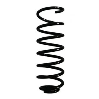 Ressort de suspension SPIDAN 87008