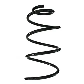 Ressort de suspension SPIDAN 87063