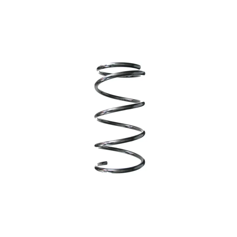 Ressort de suspension SPIDAN 87080