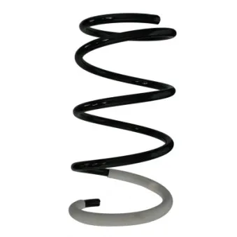 Ressort de suspension SPIDAN 87081