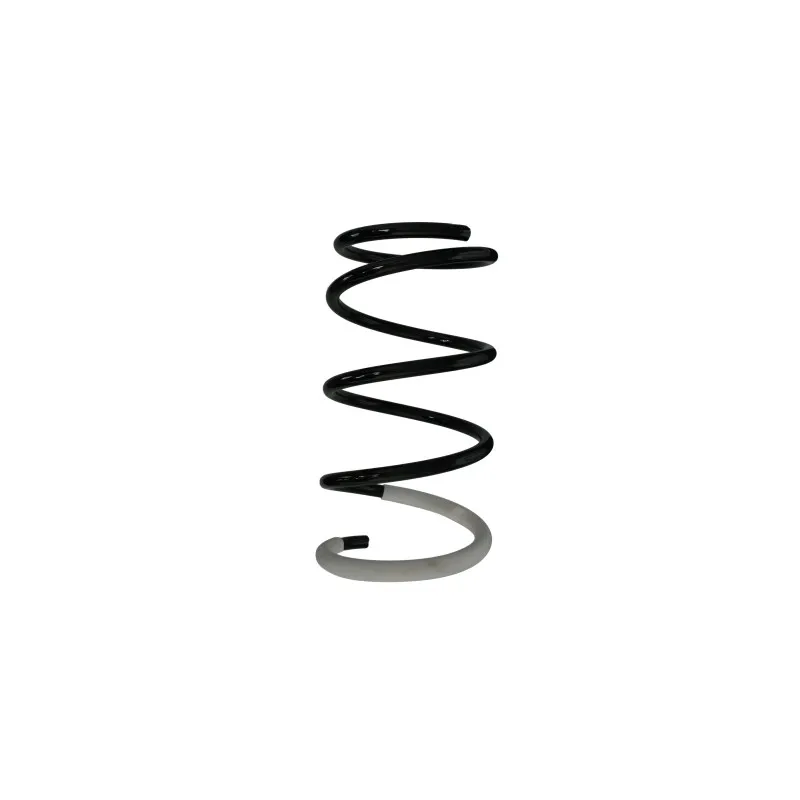 Ressort de suspension SPIDAN 87081