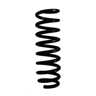 Ressort de suspension SPIDAN 87141