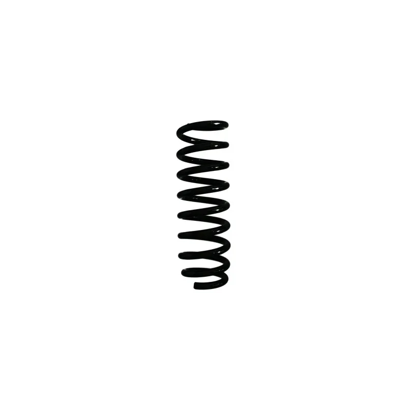 Ressort de suspension SPIDAN 87141