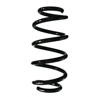 Ressort de suspension SPIDAN 87169