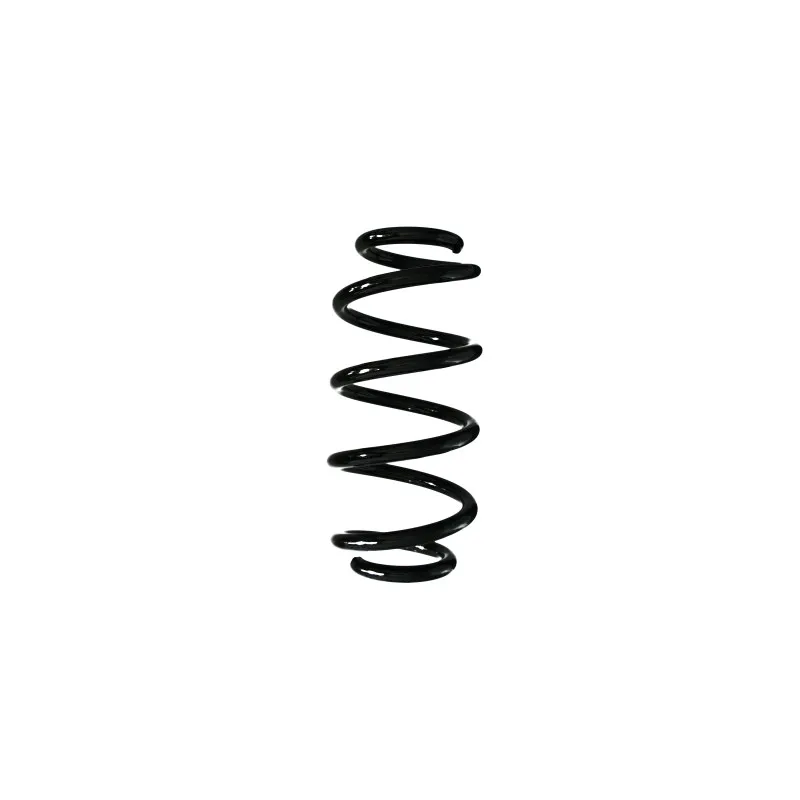 Ressort de suspension SPIDAN 87169