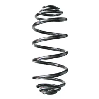 Ressort de suspension SPIDAN 87221