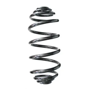 Ressort de suspension SPIDAN 87222