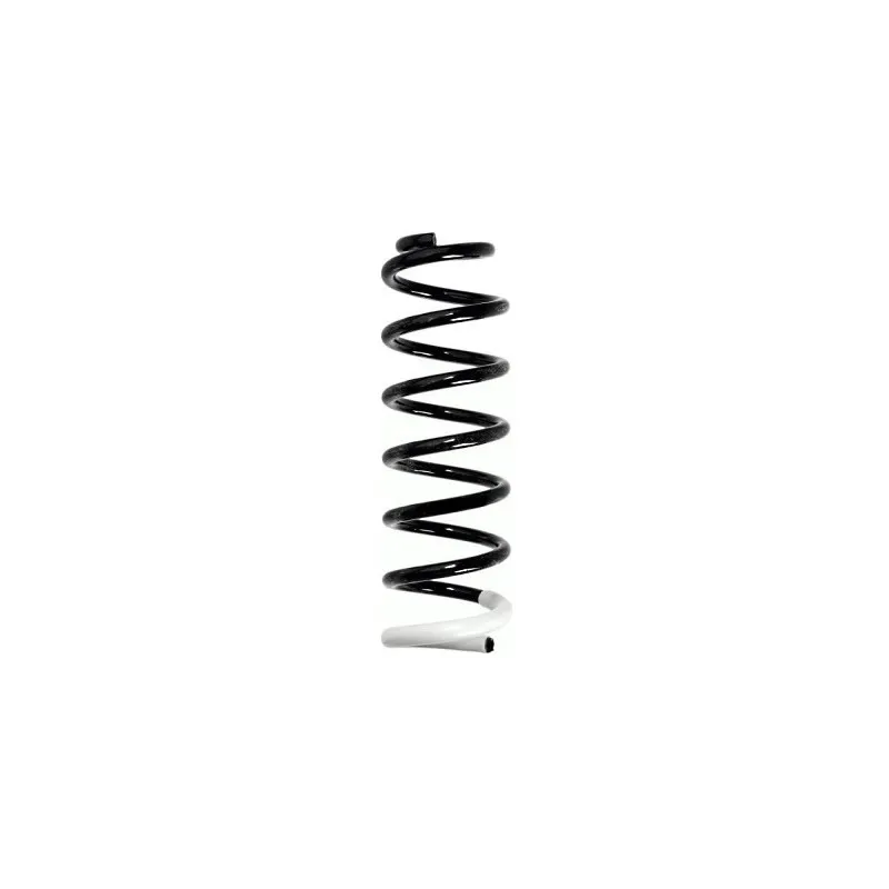 Ressort de suspension SPIDAN 87384
