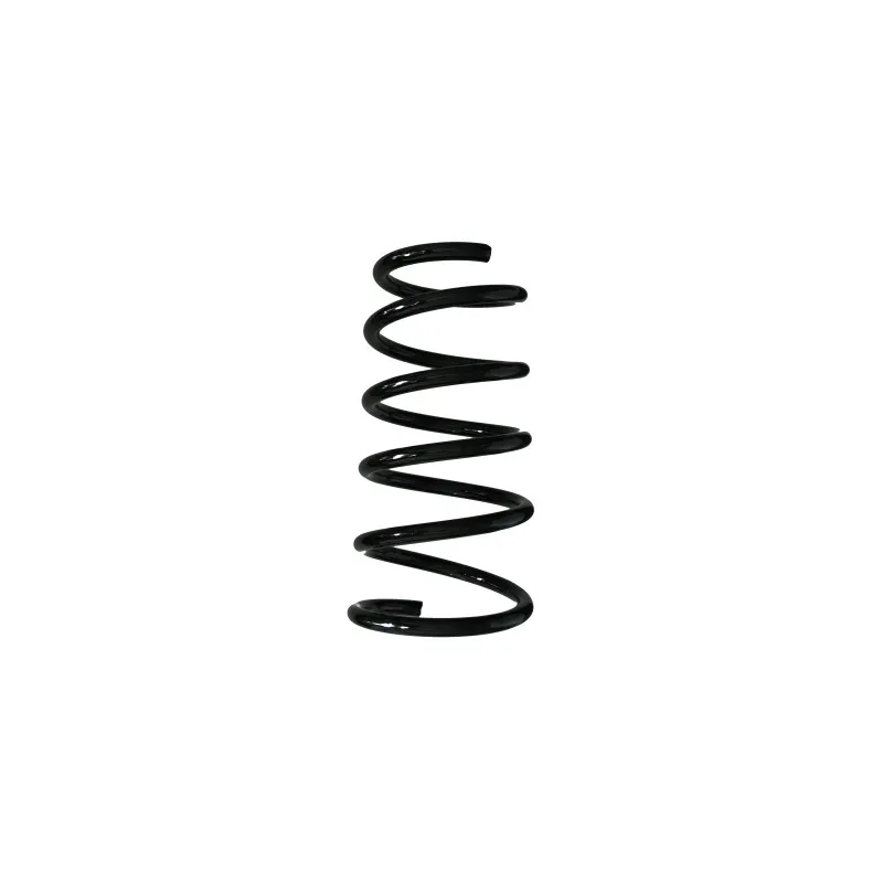 Ressort de suspension SPIDAN 87459