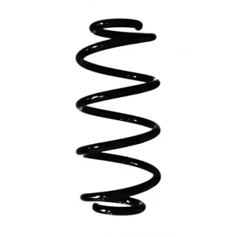 Ressort de suspension SPIDAN 87462