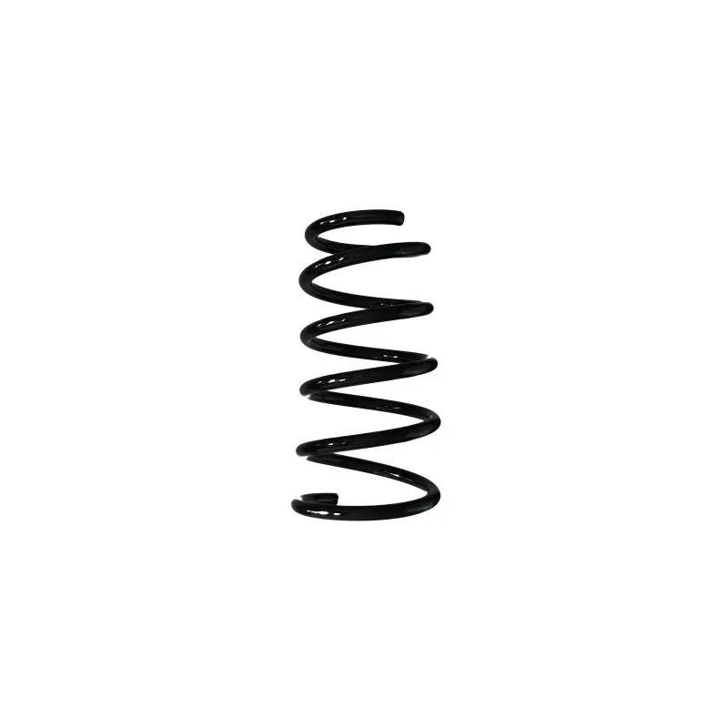 Ressort de suspension SPIDAN 87463