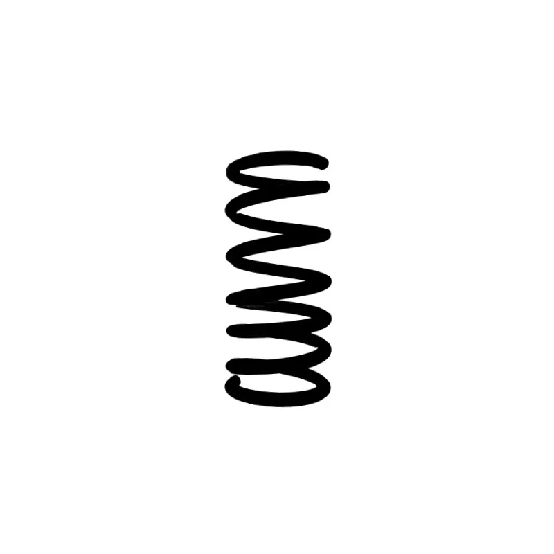 Ressort de suspension SPIDAN 87482