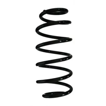 Ressort de suspension SPIDAN 87539