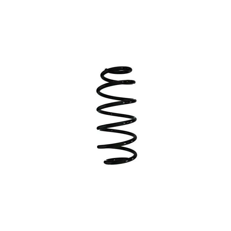 Ressort de suspension SPIDAN 87539