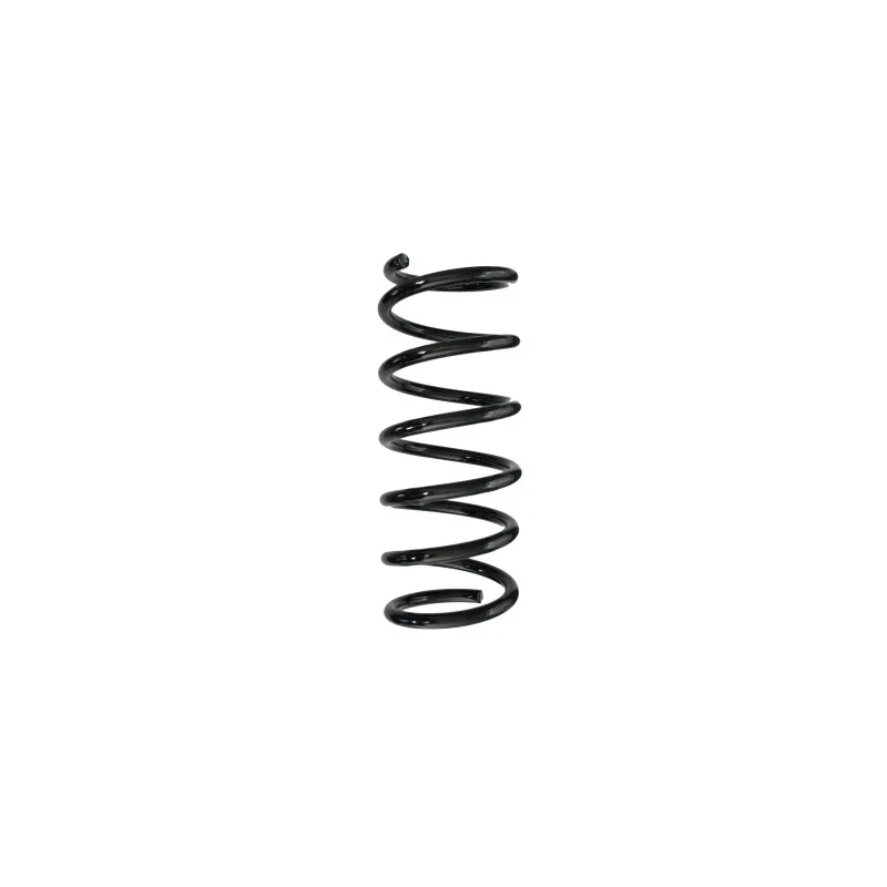 Ressort de suspension SPIDAN 87545