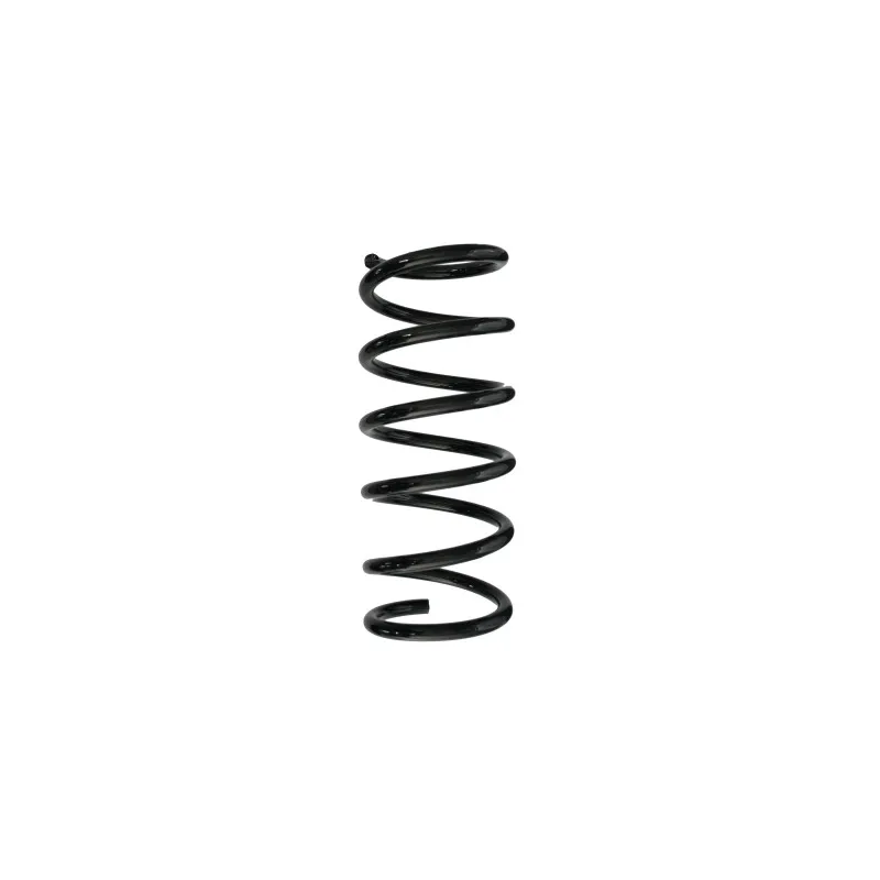 Ressort de suspension SPIDAN 87546
