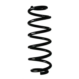 Ressort de suspension SPIDAN 87640