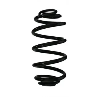 Ressort de suspension SPIDAN 87674