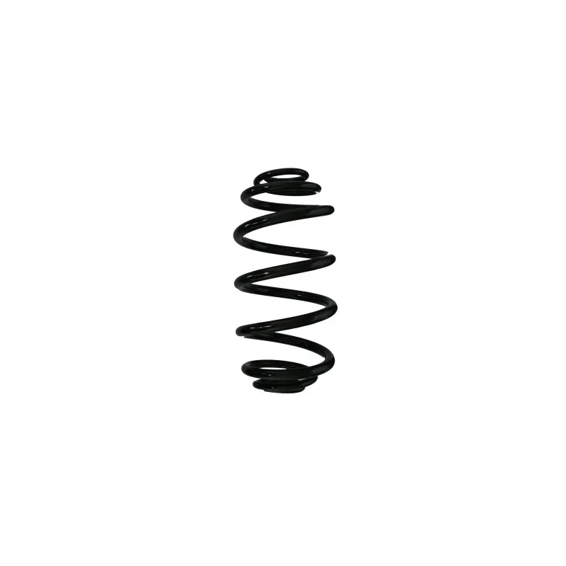 Ressort de suspension SPIDAN 87674