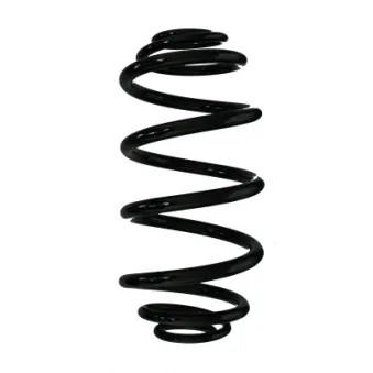 Ressort de suspension SPIDAN 87675