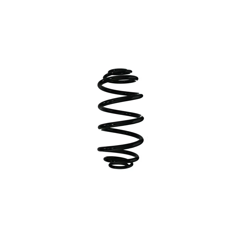 Ressort de suspension SPIDAN 87675