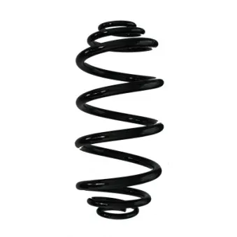 Ressort de suspension SPIDAN 87677