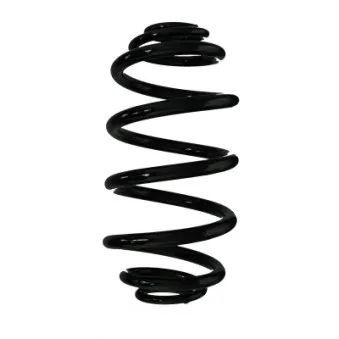 Ressort de suspension SPIDAN 87678