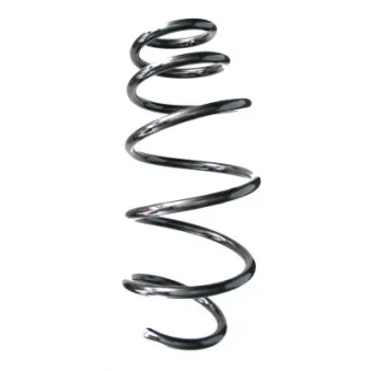 Ressort de suspension SPIDAN 87683