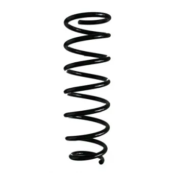 Ressort de suspension SPIDAN 87809