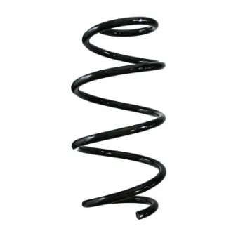 Ressort de suspension SPIDAN 88210