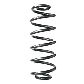 Ressort de suspension SPIDAN 88215