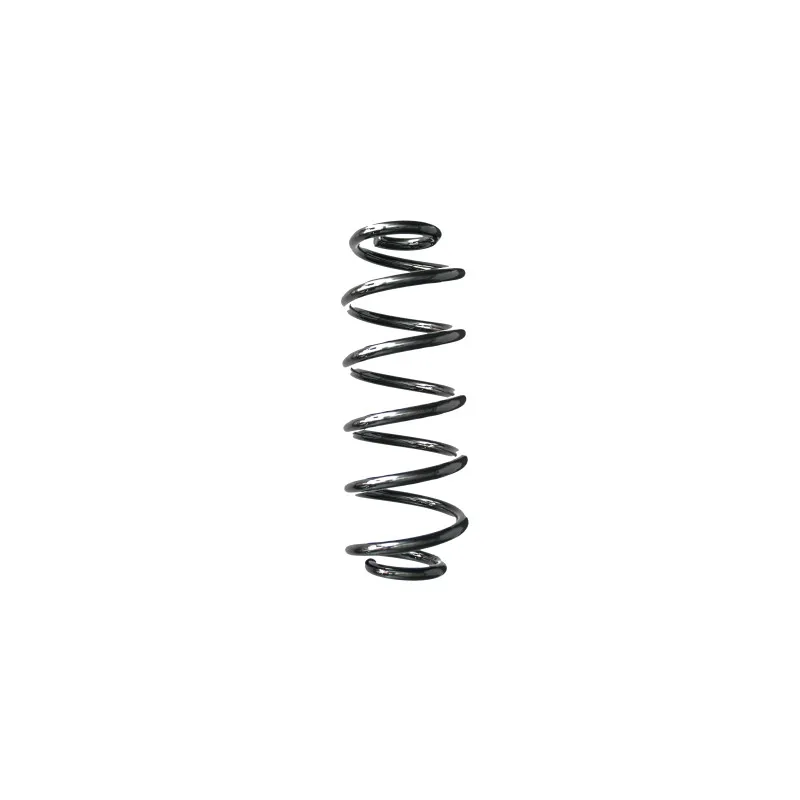Ressort de suspension SPIDAN 88215