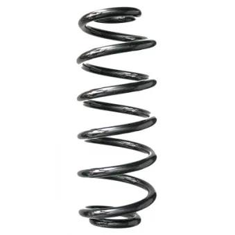 Ressort de suspension SPIDAN 88216