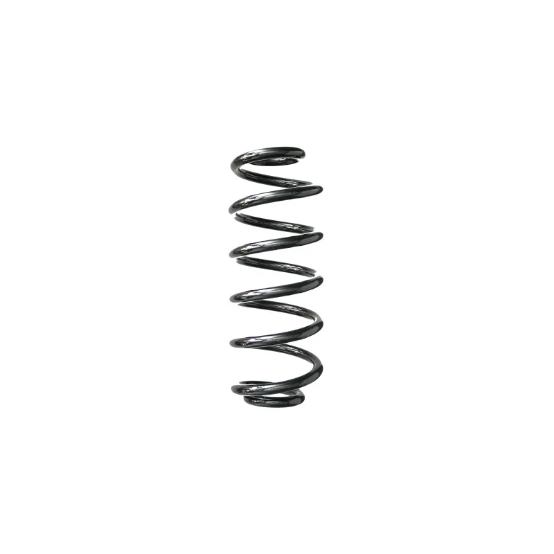 Ressort de suspension SPIDAN 88216