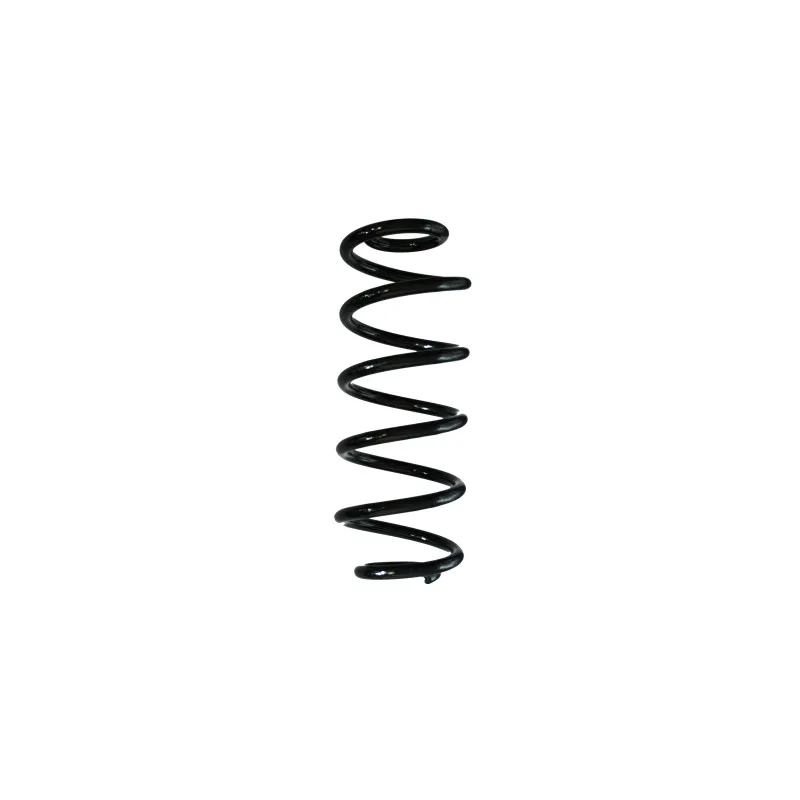 Ressort de suspension SPIDAN 88217