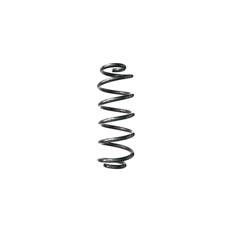 Ressort de suspension SPIDAN 88219