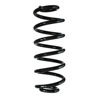 Ressort de suspension SPIDAN 88220