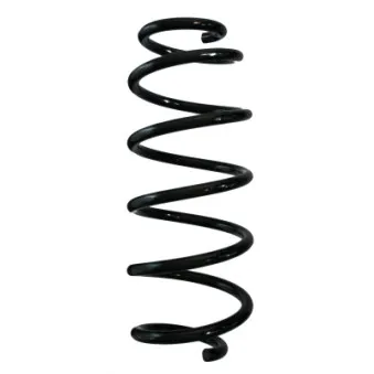 Ressort de suspension SPIDAN 88221