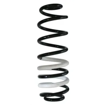 Ressort de suspension SPIDAN 88233