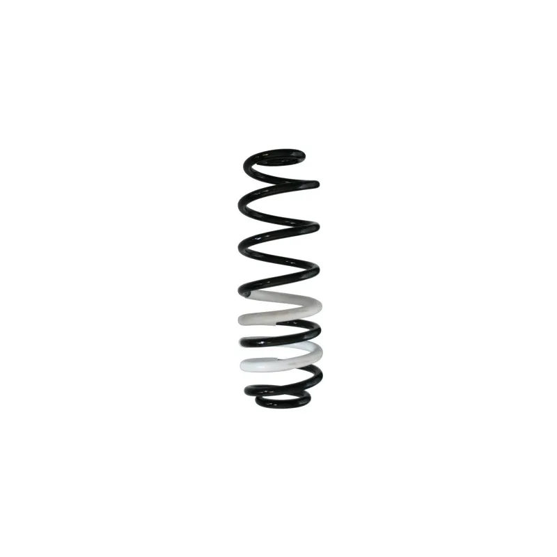 Ressort de suspension SPIDAN 88233