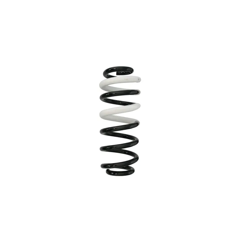 Ressort de suspension SPIDAN 88235