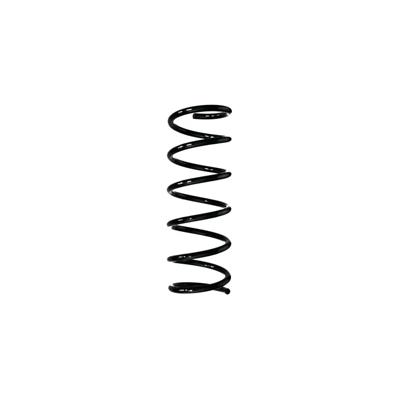 Ressort de suspension SPIDAN 88244