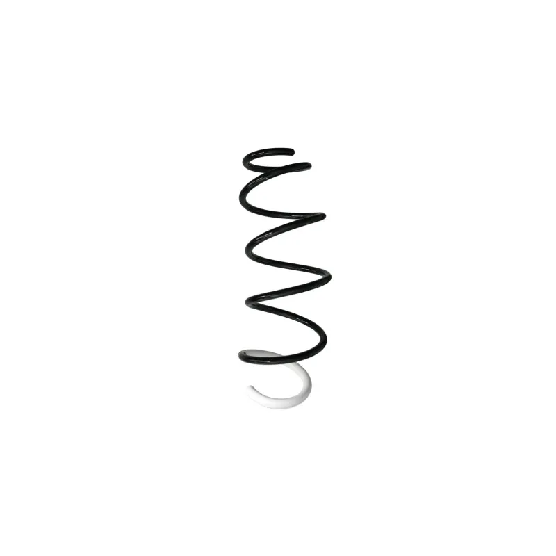 Ressort de suspension SPIDAN 88245
