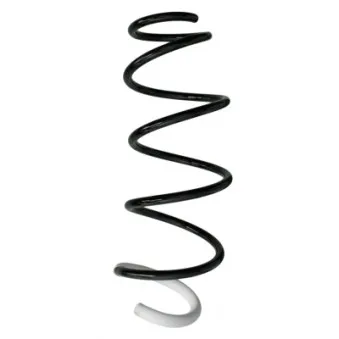 Ressort de suspension SPIDAN 88247