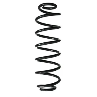 Ressort de suspension SPIDAN 88249