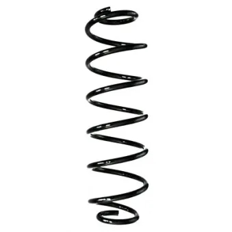 Ressort de suspension SPIDAN 88250