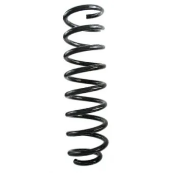 Ressort de suspension SPIDAN 88251