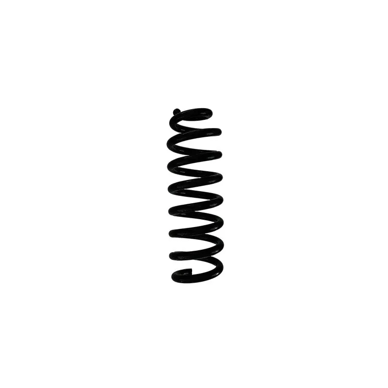 Ressort de suspension SPIDAN 88253
