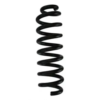 Ressort de suspension SPIDAN 88254